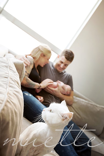 What a Lifestyle Newborn Photoshoot Looks Like