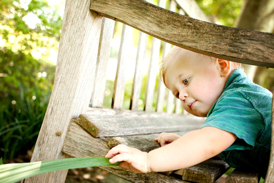 Tiny Tots Take Charge | Toddler Photography