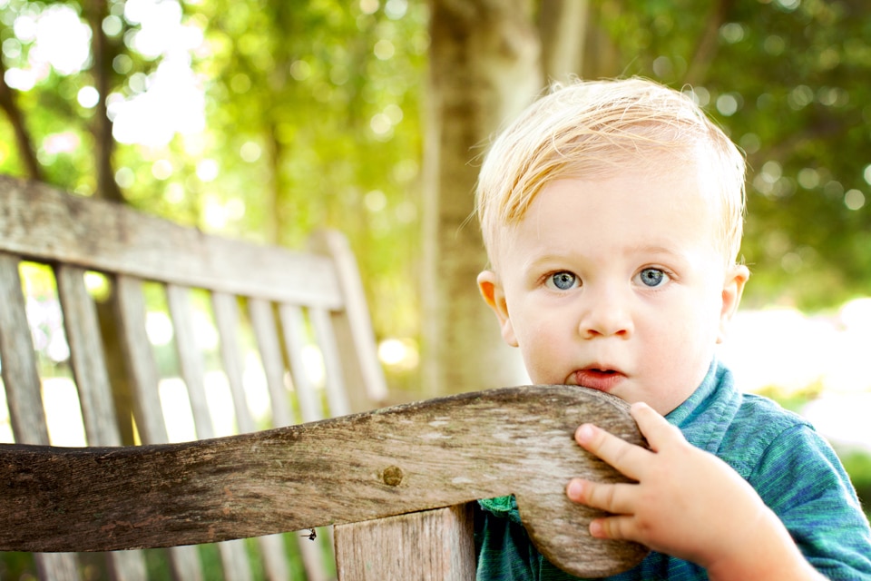 Tiny Tots Take Charge | Toddler Photography