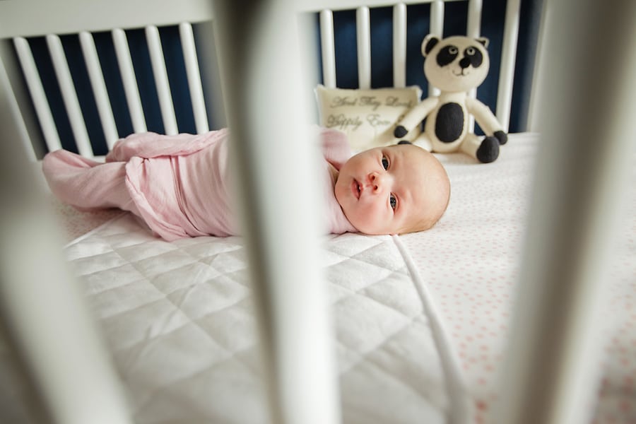 Babies and Fur Babies - in home session