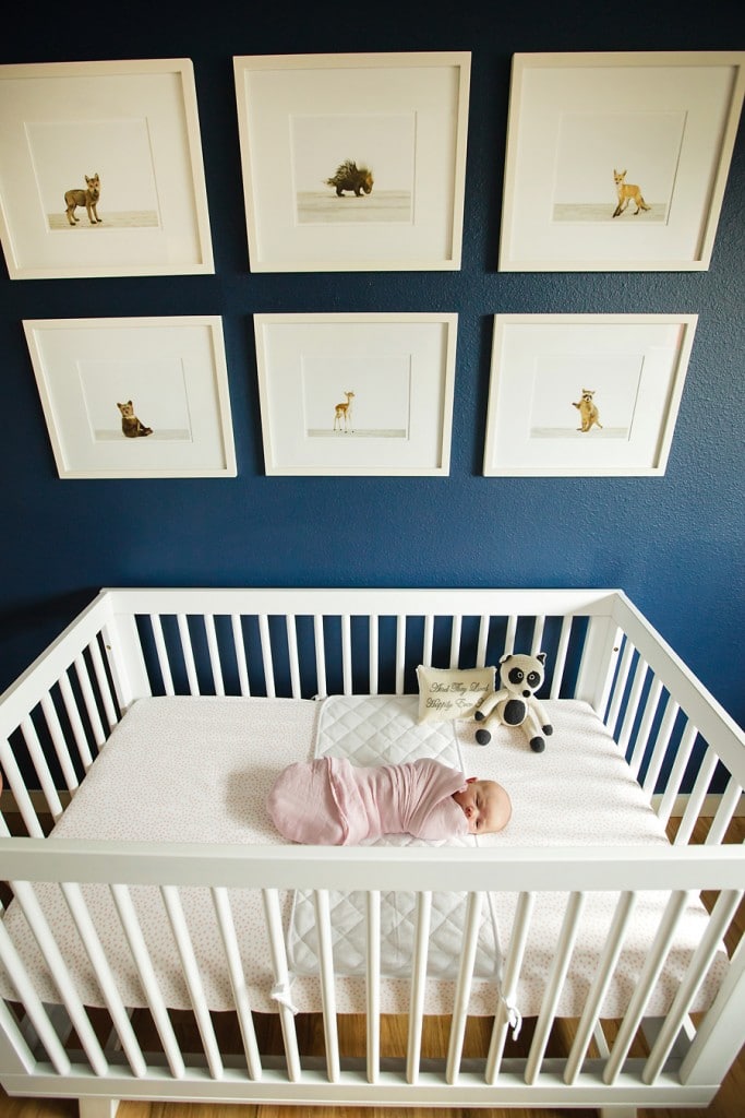 Babies and Fur Babies - in home session