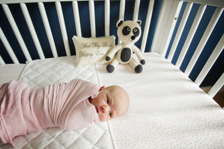 Babies and Fur Babies - in home session