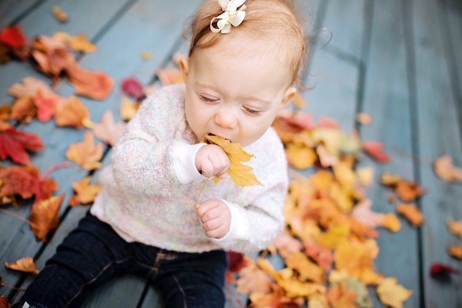 Cute Fall Baby in the Leaves