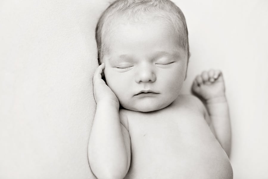 stunning newborn session in private Dallas Studio