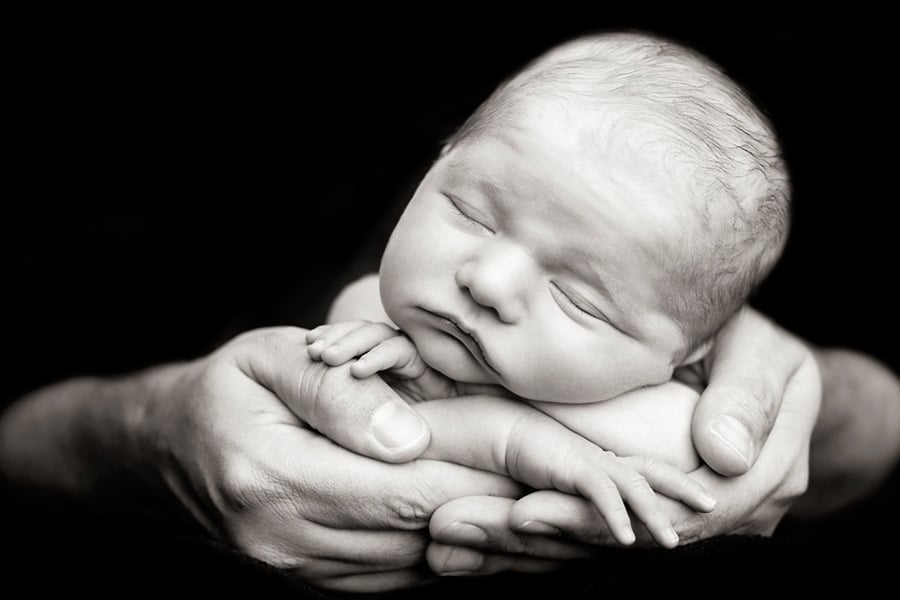 stunning newborn session in private Dallas Studio