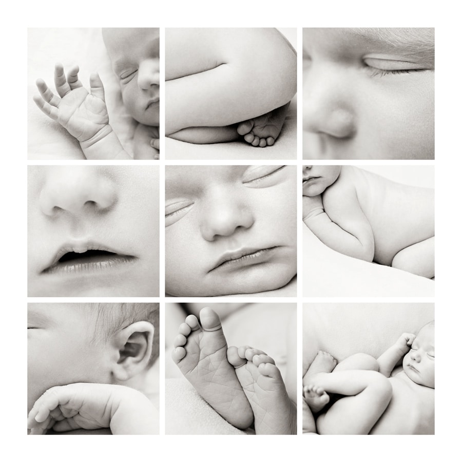stunning newborn session in private Dallas Studio