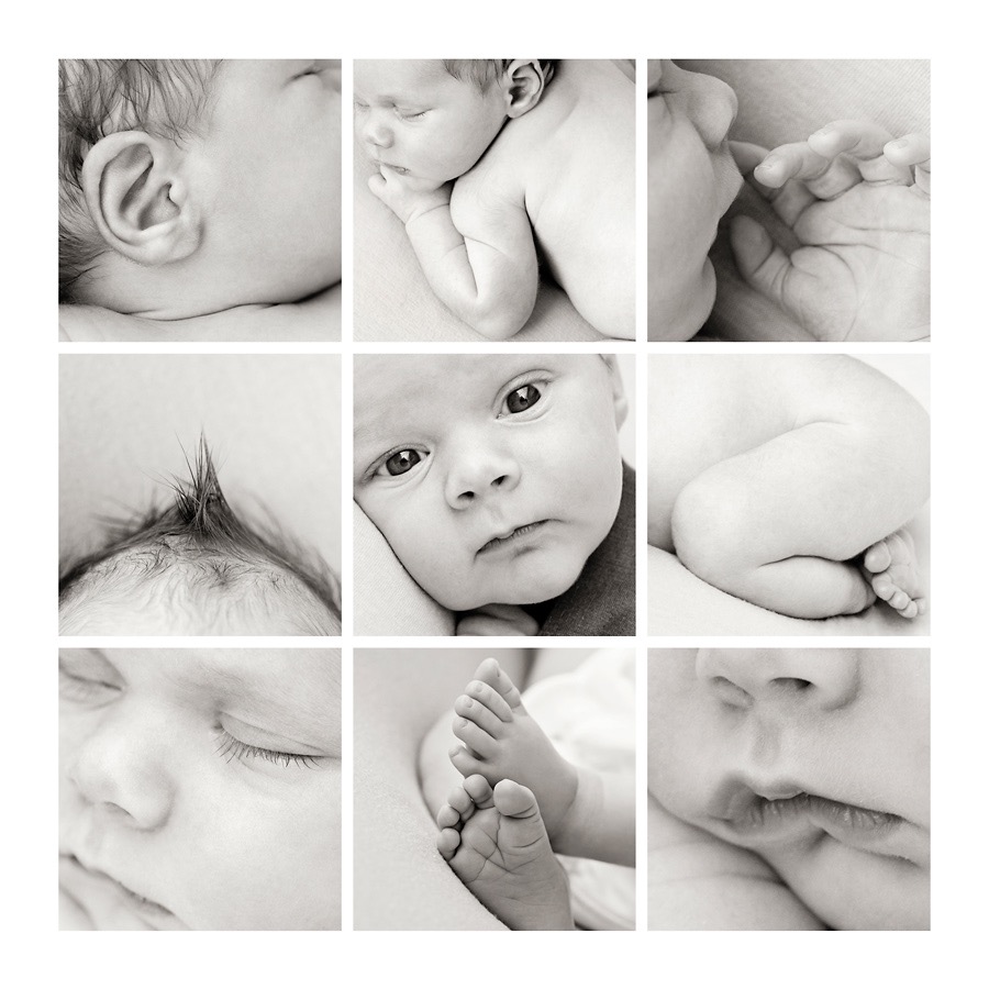 family photography session