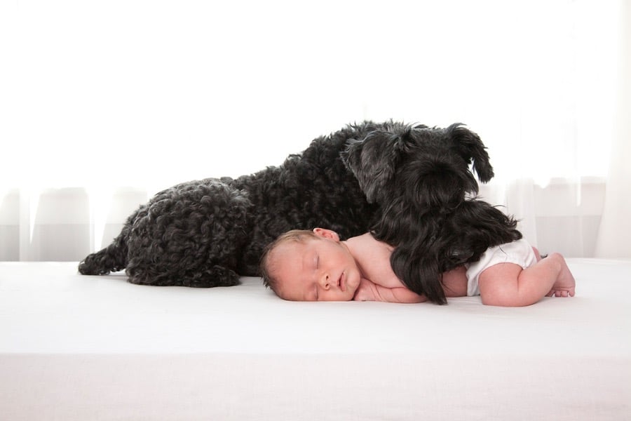 family photography session