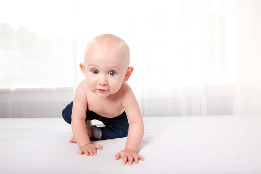 six-month baby photos in luxury private Dallas Studio