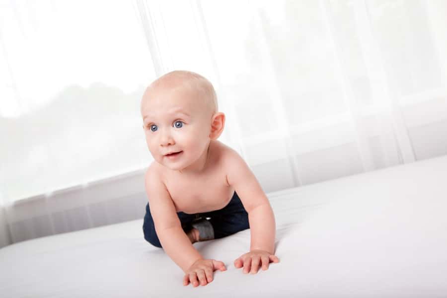 six-month baby photos in luxury private Dallas Studio