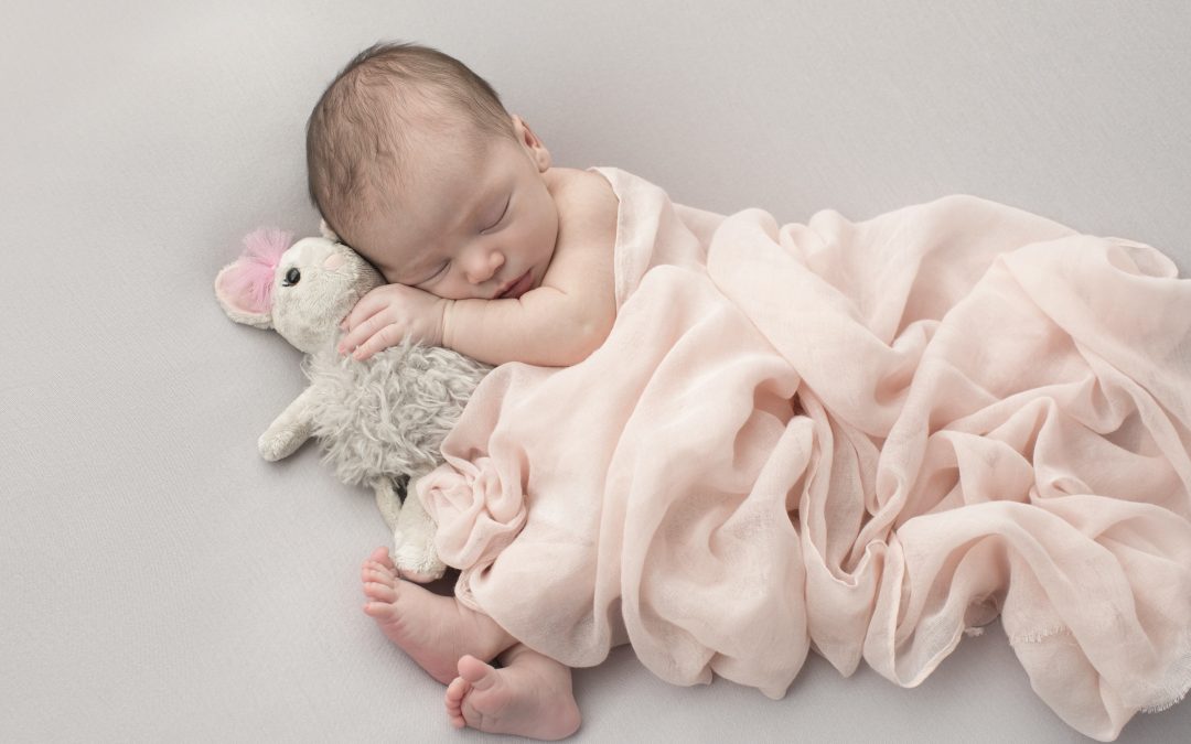 Baby Girl Takes the Dallas Studio | Newborn Sessions