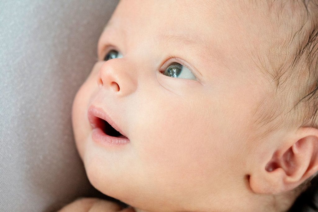 adorable newborn wide awake in Dallas Studio session