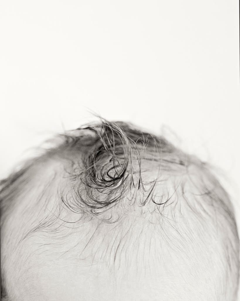 Newborn detail shots from private studio session
