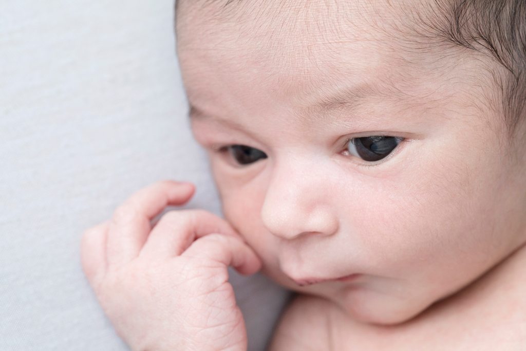 absolutely perfect newborn session in private Dallas Studio