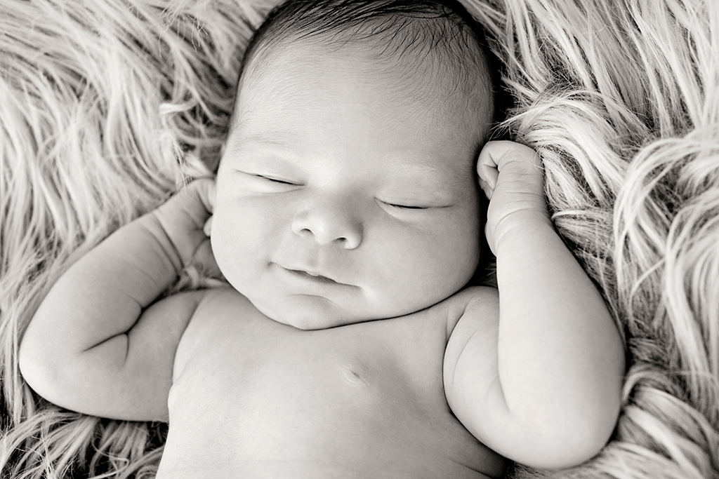 gorgeous private studio newborn session