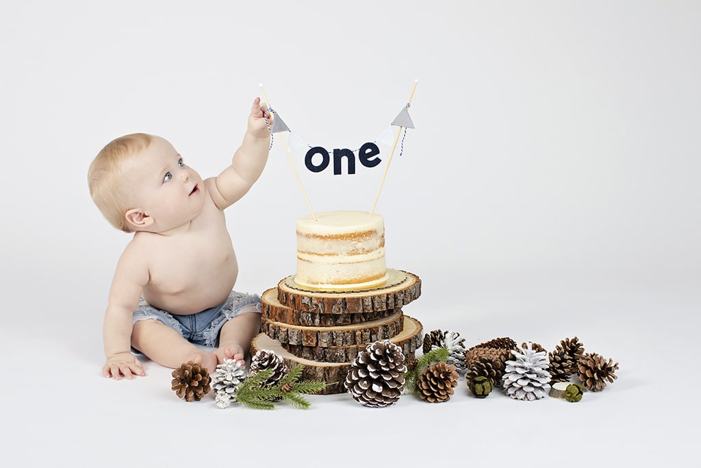 cutest first birthday session in private north dallas studio