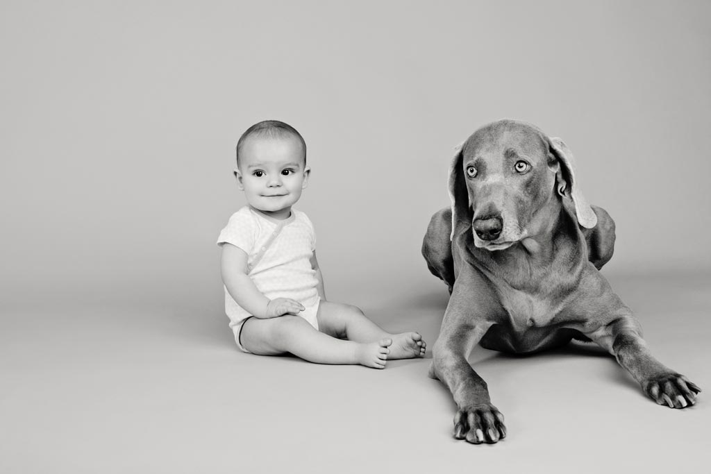 cute baby and dog pose for adorable black and white studio photos