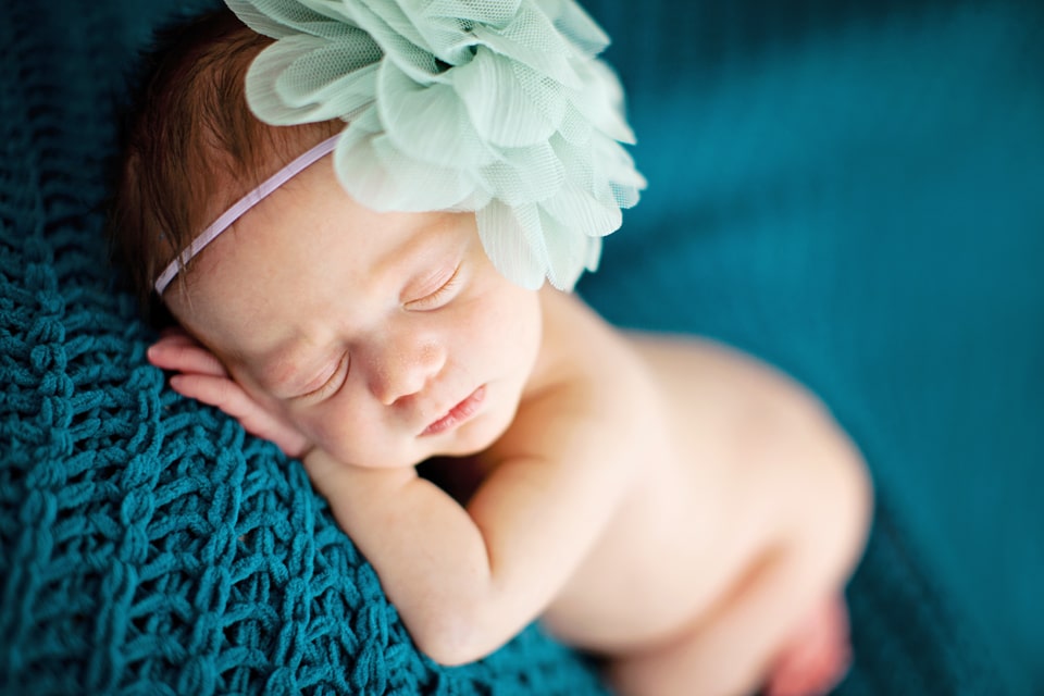 gorgeous studio newborn photography session