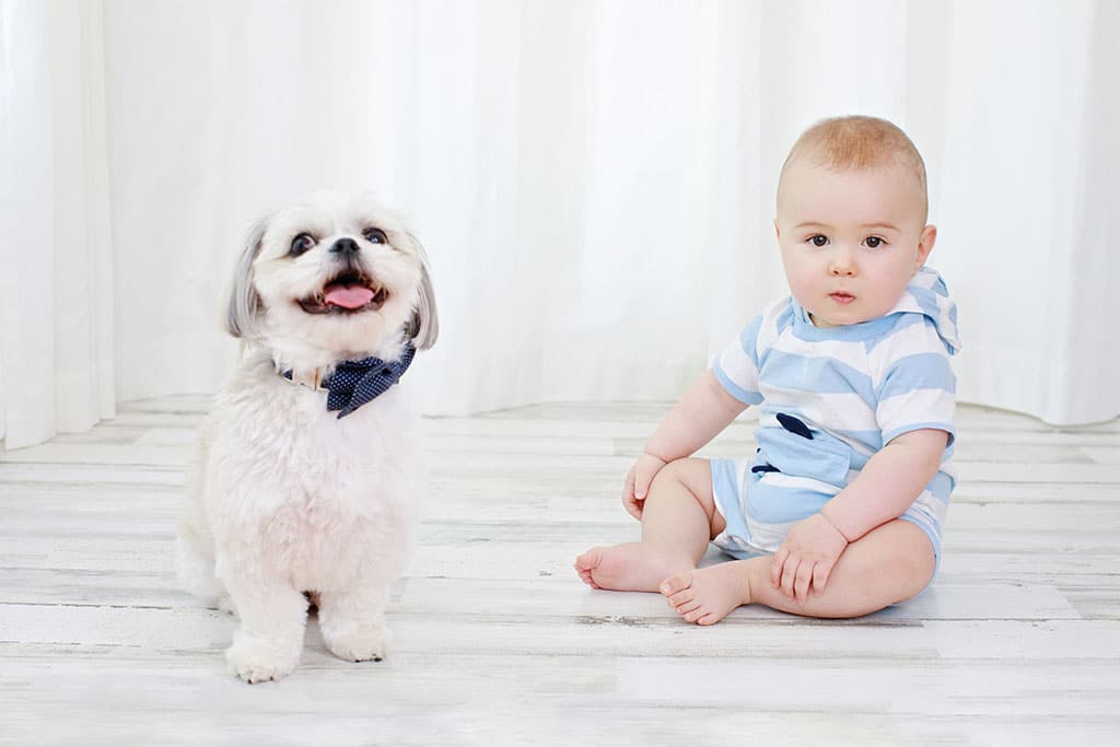 Adorable dog smiling next to a little boy in private studio session