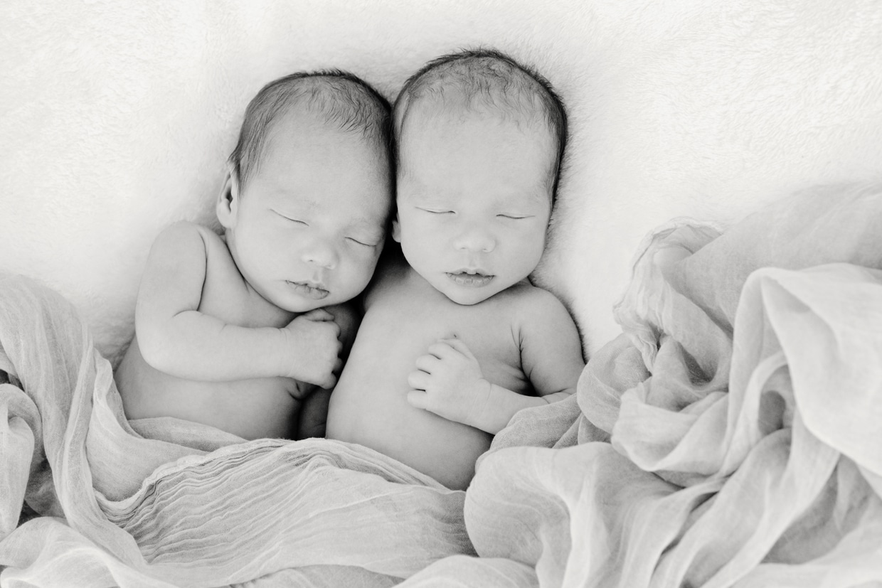 newborn twins cuddled up in studio newborn session