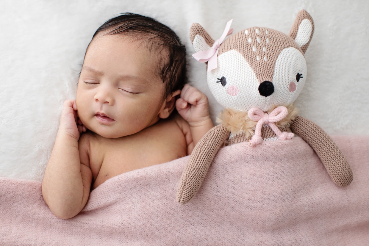 newborn baby modeling with adorable stuffed fox in private dallas studio session