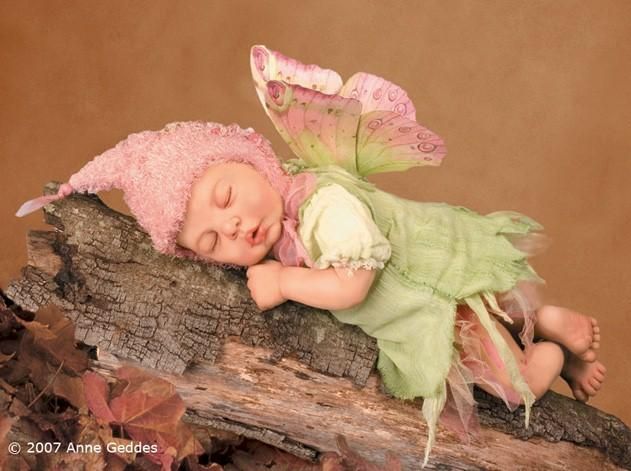 Anne Geddes Baby Photo