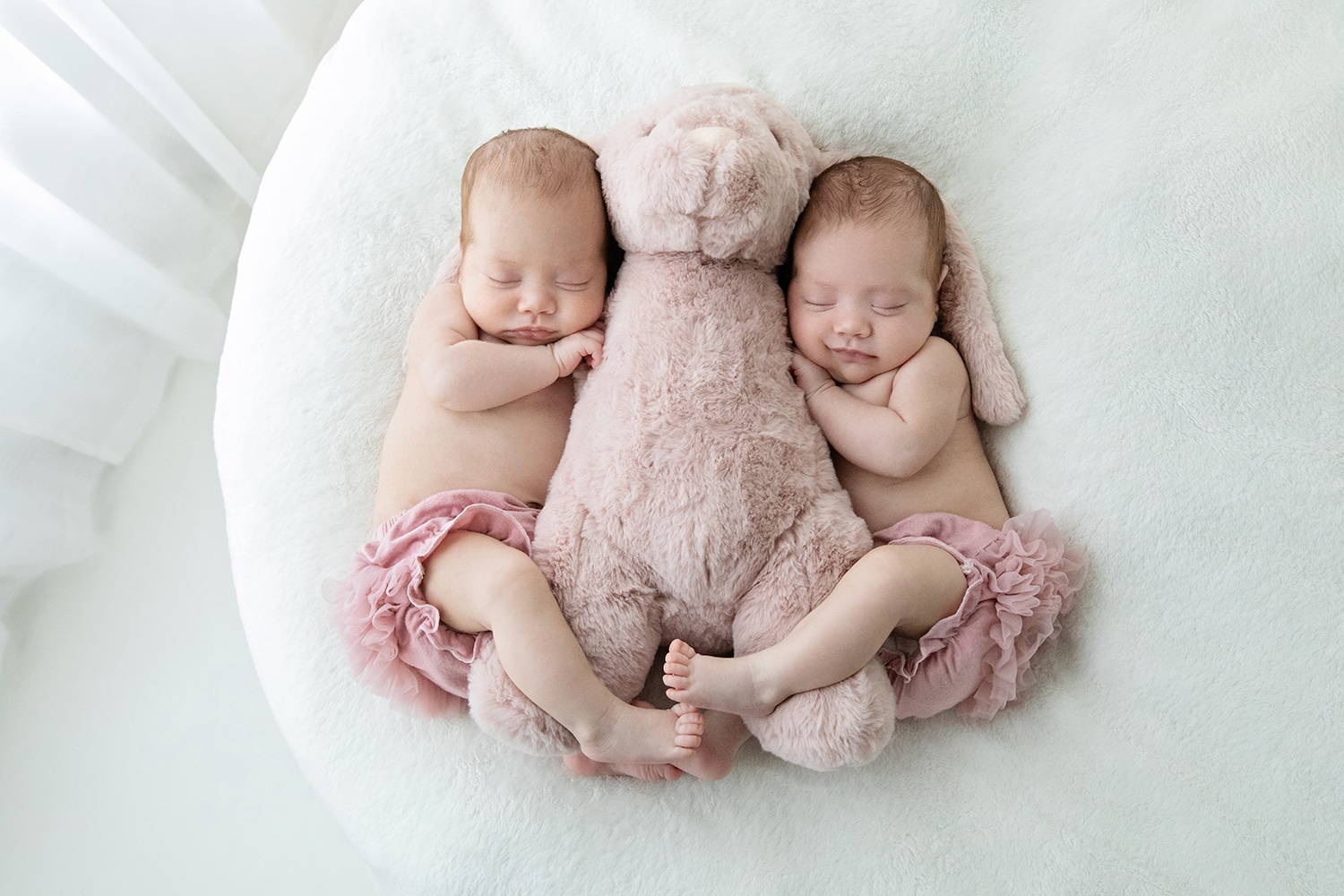 newborn twins in milestone session