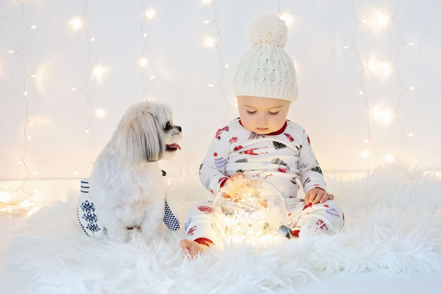 baby with dog in Christmas sweaters for seasonal photo