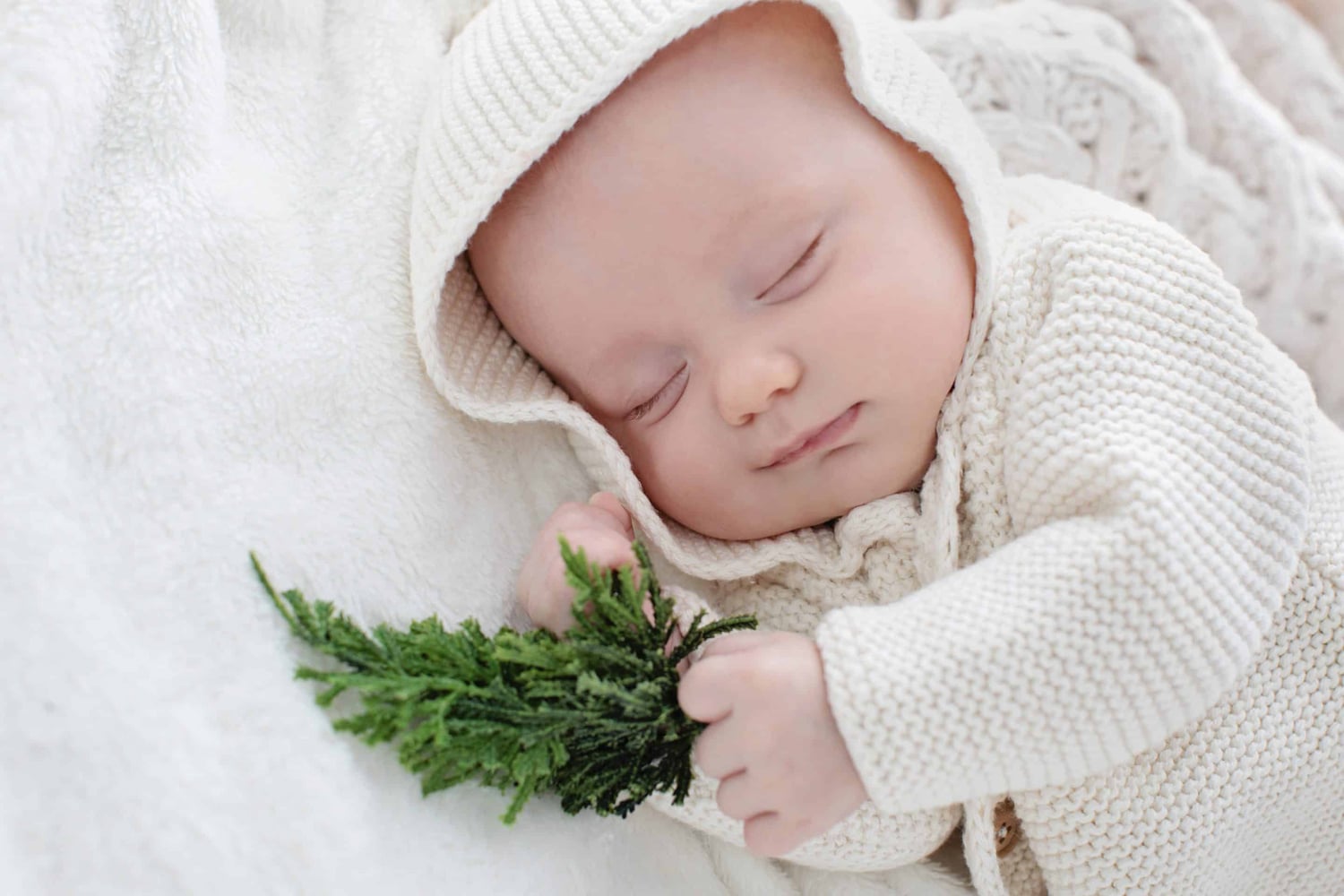 A baby holds a piece of evergreen.