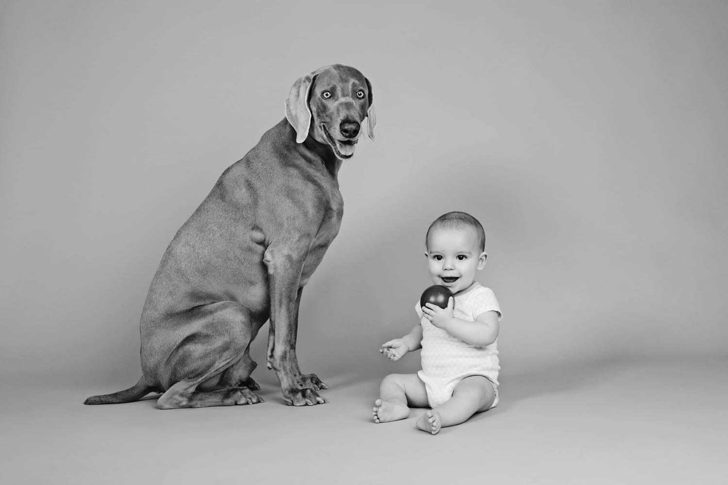 A baby holds a ball and takes a photo with a dog.