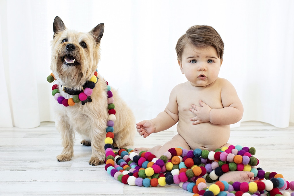 A six month old with the family dog and colorful baubles.