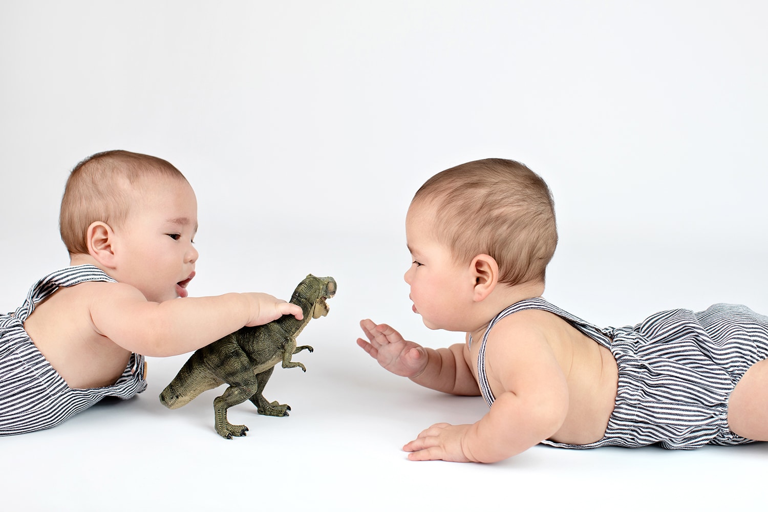 Two six month olds play with a toy dinosaur.