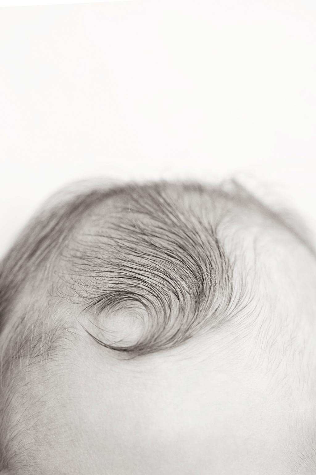 Photo of a newborn's swirl of hair.