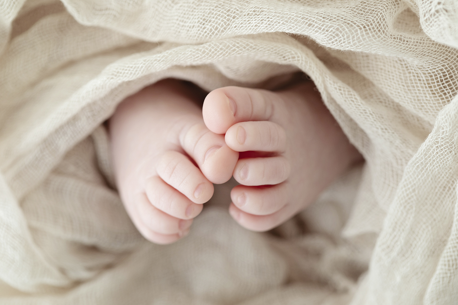 Detail shot of a newborn's feet.